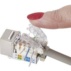 RJ45 vestavný modul S funkcí zablokování Keystone CAT 6A Renkforce KSV10