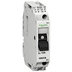 Schneider Electric GB2CB07 elektrický jistič