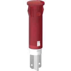 Signal Construct SKID05002 indikační LED červená Šipka 12 V/DC