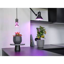 OSRAM HOMELIGHTING 4058075845787 osvětlení pro růst rostlin E27 10 W 1 ks