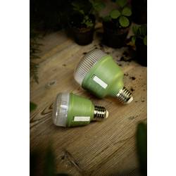 OSRAM HOMELIGHTING 4058075845787 osvětlení pro růst rostlin E27 10 W 1 ks