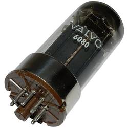 BTB Vertrieb 6080 = 6 A S 7 W elektronka dvojitá trioda 100 V 100 mA Pólů: 8 Typ patice: Oktal Množství 1 ks