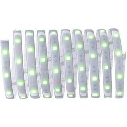 Paulmann MaxLED Basic RGB 79881 LED pásek základní sada konektor 24 V 3 m teplá bílá 1 ks