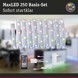 Paulmann MaxLED Basic RGB 79881 LED pásek základní sada konektor 24 V 3 m teplá bílá 1 ks