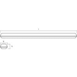 OSRAM HOMELIGHTING Submarine Integrated 1.2M 36W 4000K LED světlo do vlhkých prostor LED modul pevně vestavěné LED 36 W