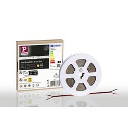 Paulmann Strip Gold P75 78438 LED pásek Energetická třída (EEK2021): G (A - G) 24 V 5000 mm teplá bílá 5 m