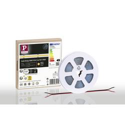 Paulmann Strip Gold COB 78453 LED pásek Energetická třída (EEK2021): G (A - G) 24 V 5000 mm teplá bílá 5 m