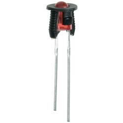 Quadrios sada LED červená, zelená, žlutá, modrá, studená bílá, teplá bílá kulatý 3 mm 9000 mcd 30 ° 20 mA 2 V, 3 V