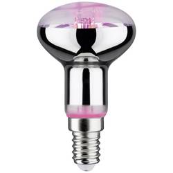 Paulmann LED lampa pro růst rostlin 230 V E14 4 W jantar 1 ks