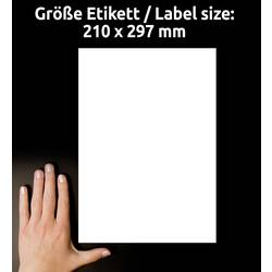 Avery-Zweckform 3478 univerzální etikety 210 x 297 mm papír bílá 100 ks trvalé inkoustová tiskárna, laserová tiskárna, barevná laserová tiskárna, kopírka,