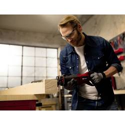 Einhell TE-AP 950 E pila ocaska, 950 W, 4326180