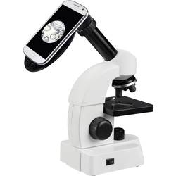 Bresser Optik 8856000 Set 40-640x mikroskop s procházejícím světlem monokulární 640 x procházející světlo