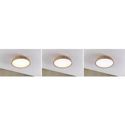 Paulmann 71083 Oka LED stropní svítidlo LED pevně vestavěné LED 24 W dřevo