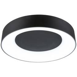Paulmann 71097 Casca LED stropní svítidlo LED pevně vestavěné LED 23 W černá (matná)