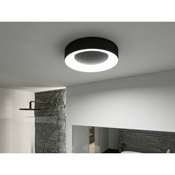 Paulmann 71097 Casca LED stropní svítidlo LED pevně vestavěné LED 23 W černá (matná)