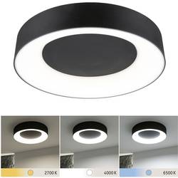 Paulmann 71097 Casca LED stropní svítidlo LED pevně vestavěné LED 23 W černá (matná)