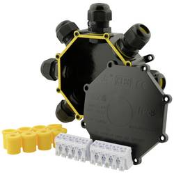 Boxexpert BXPJSGH686-8 odbočná krabice odolný proti povětrnostním vlivům 1 ks