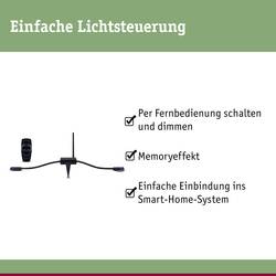 Paulmann 18011 18011 Osvětlovací systém Plug&Shine FSK 433 MHz kontrolér 75 W černá