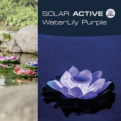 FIAP 3206-2 SOLAR ACTIVE WaterLily Purple solární dekorativní osvětlení květina LED pevně vestavěné LED nachová