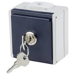 AS Schwabe 62460 zásuvka na omítku IP54