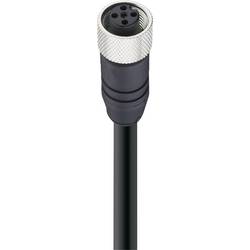 Belden 0935 253 105/5M datový zástrčkový konektor pro senzory - aktory, upravený, 10974-1, piny: 5, 5.00 m, 1 ks