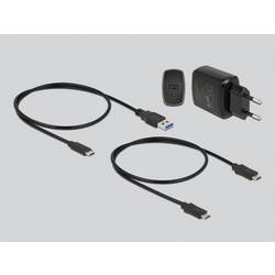 Delock 64177 USB-C® dokovací stanice pro pevný disk s funkcí klonování