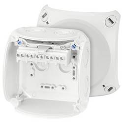 Hensel 62000049 odbočná krabice bez halogenů, uzavíratelné, odolný proti povětrnostním vlivům (d x š) 104 mm x 104 mm 1 ks