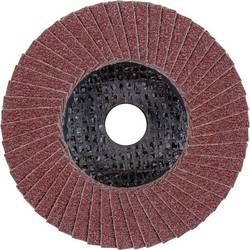 PFERD TOOLS 67604100 PFF 100 A 40 SG STEELOX/16,0 vějířovitý brusný kotouč Průměr 100 mm Ø otvoru 16 mm Zrnitost 40 nerezová ocel, ocel 10 ks
