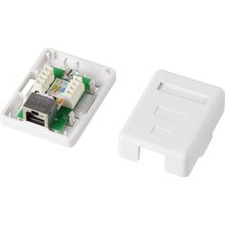 1 port síťová zásuvka na omítku CAT 6 Renkforce KSV-ND10 bílá RF-4473849