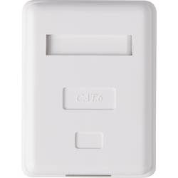 1 port síťová zásuvka na omítku CAT 6 Renkforce KSV-ND10 bílá RF-4473849
