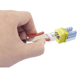 1 port síťová zásuvka na omítku CAT 6 Renkforce KSV-ND10 bílá RF-4473849