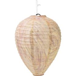 Gardigo Wespennest-Attrappe 2er-Set 666612 atrapa lapač vos odstrašení (Ø x v) 200 mm x 280 mm 2 ks