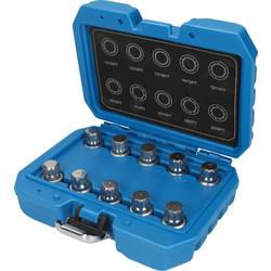 Sada zámků kol pro BMW, 10 ks Brilliant Tools BT691170