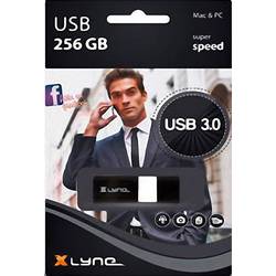 USB flash disk Xlyne Wave, 256 GB, USB 3.2 (Gen 1x1) , černá, bílá