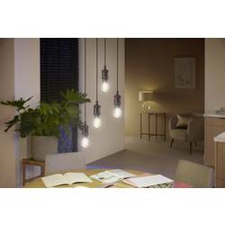 Philips Hue Hue LED žárovka 871951430142900 Energetická třída (EEK2021): G (A - G) Hue White Ambiance Einzelpack Filament 300lm E27 7 W teplá až studená bílá