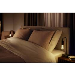 Philips Hue Hue LED žárovka 871951430142900 Energetická třída (EEK2021): G (A - G) Hue White Ambiance Einzelpack Filament 300lm E27 7 W teplá až studená bílá