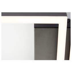 Brilliant G80930/06 Wand- und Deckenleuchte stropní svítidlo LED pevně vestavěné LED černá