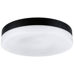 Paulmann 96778 Amalie LED stropní svítidlo LED LED 16 W černá (matná)
