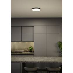 Paulmann 96778 Amalie LED stropní svítidlo LED LED 16 W černá (matná)