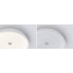 Paulmann 96783 Jaron LED stropní svítidlo LED LED 26.5 W bílá (matná)