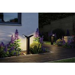 Paulmann 94861 Juntea sloupkové LED světlo LED 12.5 W, 12.5 W antracitová