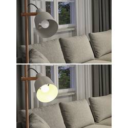 Paulmann 29116 LED Energetická třída (EEK2021) F (A - G) E14 4.5 W teplá bílá (Ø x v) 45 mm x 80 mm 1 ks