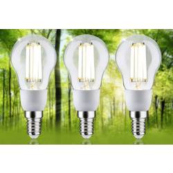Paulmann 29134 LED Energetická třída (EEK2021) A (A - G) E14 2.5 W teplá bílá (Ø x v) 45 mm x 100 mm 3 ks