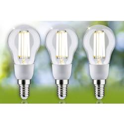 Paulmann 29134 LED Energetická třída (EEK2021) A (A - G) E14 2.5 W teplá bílá (Ø x v) 45 mm x 100 mm 3 ks