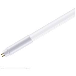 Paulmann LED trubice Energetická třída (EEK2021): F (A - G) G5 zářivkový tvar 8.5 W teplá bílá (Ø x d) 18 mm x 563 mm 1 ks