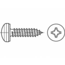 TOOLCRAFT TO-5444736 šroub do plechu 19 mm křížová drážka Philips 88981 ocel galvanizováno zinkem 1000 ks