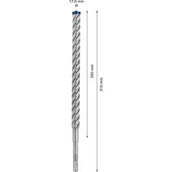 Bosch Accessories EXPERT SDS plus-7X 2608900137 příklepový vrták 1 ks 17 mm Celková délka 315 mm SDS plus 1 ks