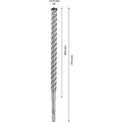 Bosch Accessories EXPERT SDS plus-7X 2608900137 příklepový vrták 1 ks 17 mm Celková délka 315 mm SDS plus 1 ks