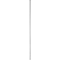Bosch Accessories EXPERT SDS plus-7X 2608900104 příklepový vrták 1 ks 10 mm Celková délka 1000 mm SDS plus 1 ks