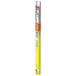 OSRAM HOMELIGHTING LED trubice Energetická třída (EEK2021): F (A - G) G13 zářivkový tvar T8 KVG 5.4 W = 15 W teplá bílá (Ø x d) 26.80 mm x 451 mm 1 ks